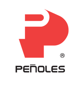 Logo Penoles sin fondo